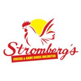 strombergschickens.com logo