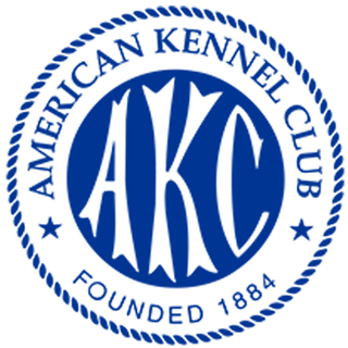 akc.org logo