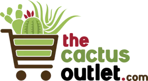 cactusoutlet.com logo