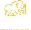 baseculture.com logo