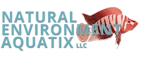 naturalenvironmentaquatix.com logo