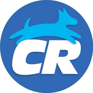 cleanrun.com logo