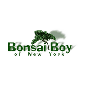 bonsaiboy.com logo