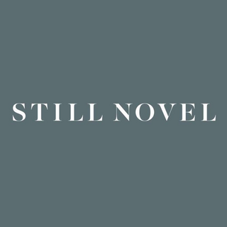 stillnovel.com logo