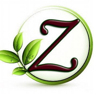 znaturalfoods.com logo