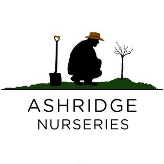 ashridgetrees.co.uk logo