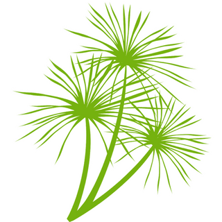 paramountplants.co.uk logo