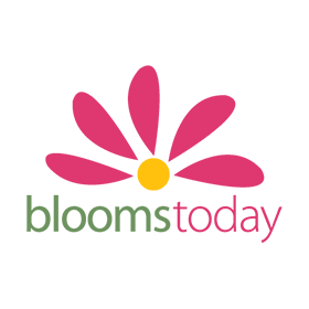 bloomstoday.com logo