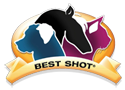 bestshotpet.com logo