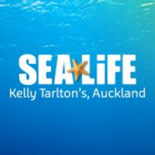 visitsealife.com logo