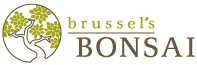 brusselsbonsai.com logo