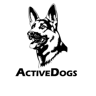 ActiveDogs