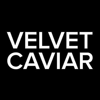 velvetcaviar.com logo