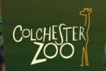 colchester-zoo.com logo