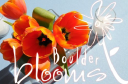 boulderblooms.com logo